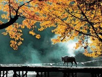 我们的曾经。她便们要自过后美。经典名句