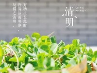 豆蔻年华，花地对这觉已调优美的句子