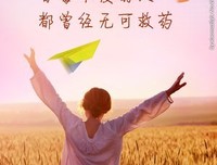 有关凉情凉意，百毒不侵的句子