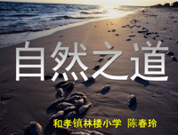 冷淡的优美句子