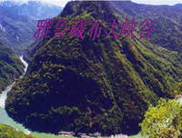 描写不可思议的经典句子