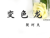咬人的光阴名句欣赏