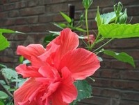 蜗牛不言经典的句子
