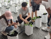 逐梦莒南·“乡”约振兴实践调研团赴洙边镇以色列现代