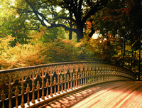最新的《藏在回忆边再为的风景》佳句摘抄大全