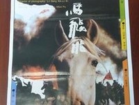 《白马飞飞》经典观后感有感