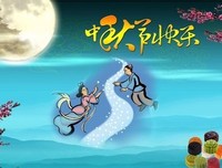 《中国好声音2020》的观后感大全