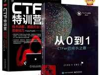 CTF特训营:技术详解、解题方法与竞赛技巧读后感100字