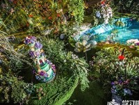 《如何找到100倍回报的股票》读后感精选