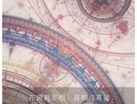 西夏咒读后感精选