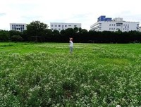 关于随处可见名言名句