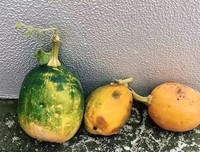 散文：秋水无痕
