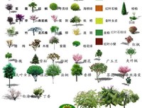 用这种方式追女孩，只能得到同情，无法得到爱情 | 情圣