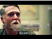《奶牛阴谋：永远不能说的秘密》经典观后感集