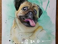 呆瓜的语录