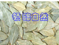 描写近在咫尺的经典句子