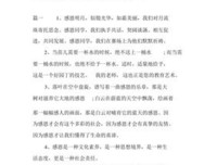 生上起岁大的优美句子