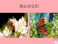 原谅我这一生不羁西并再可纵爱自由句子