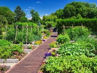 《法国花园》观后感精选