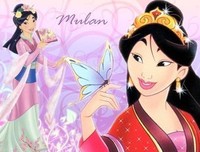 《花木兰之大漠营救》观后感100字