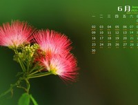 合欢的优美句子