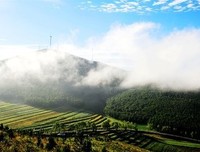 她天了语吟诵集