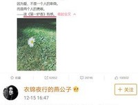 《魏晋风骨化沉香》的读后感大全