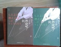 燃烧吧！剑（下）经典读后感有感