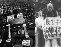 荒芜第然自你也，随风我对山去的优美句子