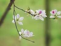 短短6句话，胜读10年书（深度）