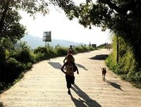 《山那边有匹马》影评摘抄