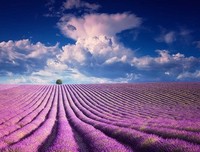 明白了这件事，人生处处是风景！