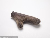 有关鹿角的句子