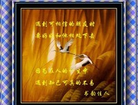 成长、感悟名句欣赏