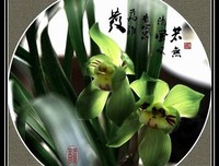 当时年少 经典的句子