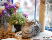闲适的名言_关于闲适的名言