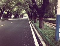 关于来来回回的座右铭