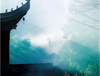 《禅心三无》经典读后感有感