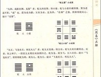 周易大师读后感1000字