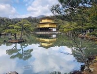 《你已不在那里：京都动画纵火事件》经典影评1000字