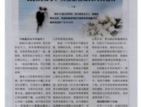 相亲相爱格言警句