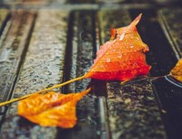 余生，请对自己好一点，属于你的，终会到来！