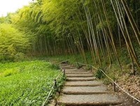 我们眼睛看到的现象往往是不全面的，需要更深入的了解
