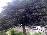 遮风挡雨格言警句