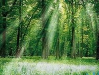 描写人山人海的语句摘抄