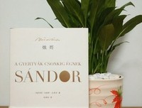 《中国文学课》读后感1000字