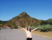 家国遗梦读后感100字