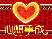 《改造命运 心想事成》经典读后感有感