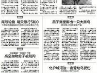 《七月在野 八月在宇》读后感摘抄