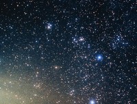 这个星座，拉屎都会陪着你。。